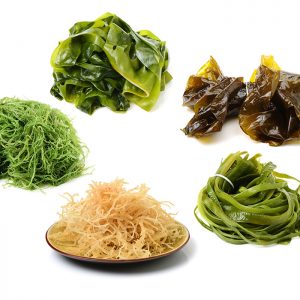 SEAWEED PRODUCTS